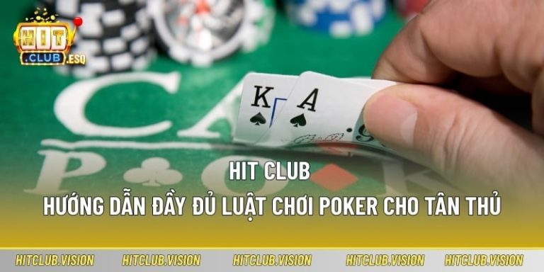 Can Beginners Use HITCLUB Without Experience?